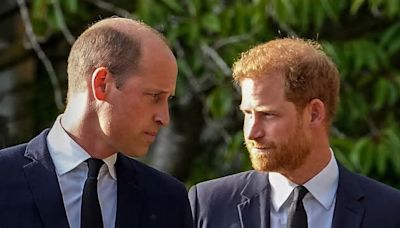 Prince Harry ‘worried’ about William's children George, Charlotte, and Louis: ‘Of those 3, at least one will end up…’