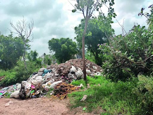 Hoskote Lake filled with debris and waste