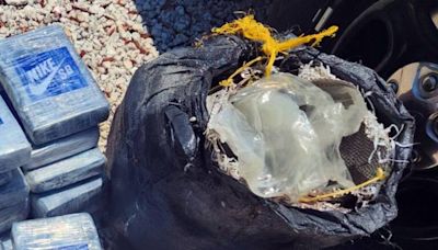Buceaban en los Cayos de Florida para remover basura y encontraron un paquete sospechoso en las profundidades