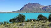 Los increíbles refugios del Parque Nacional Perito Moreno en los que el hospedaje es totalmente gratis