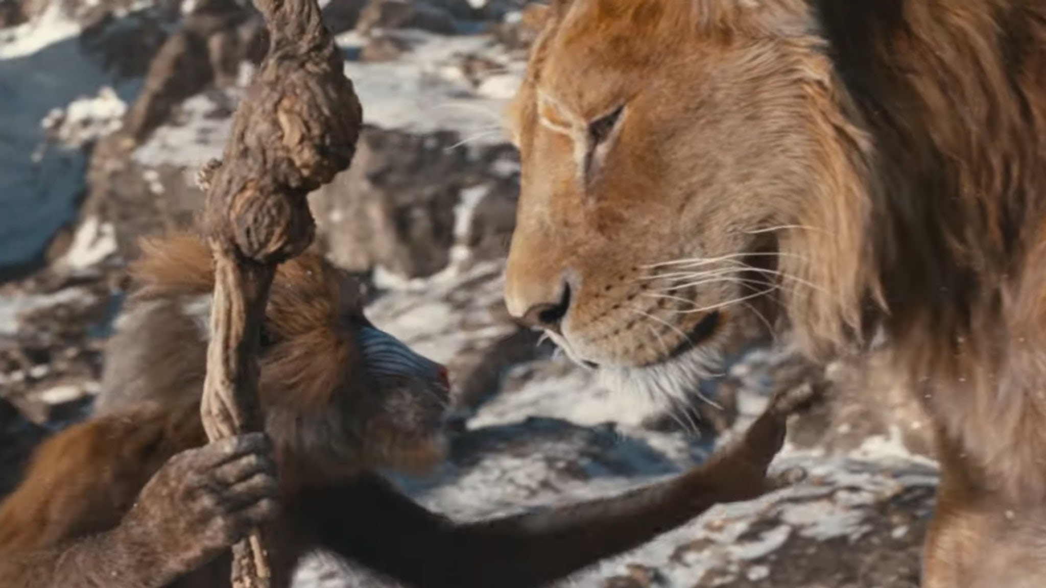 Mufasa: The Lion King Trailer 'Introduces' Blue Ivy Carter, Thrilling Action Sequences, Feud with Scar