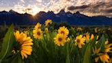Sunny outlook: How can we reap positive benefits of optimism? | Mark Mahoney