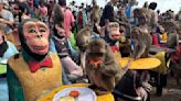 Monos del centro de Tailandia celebran su día con festín