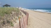 Pánico en una playa estadounidense: una plaga de libélulas atemoriza a los bañistas