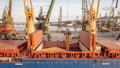 Dry bulk vessel market “holding up” according to analysts