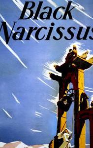 Black Narcissus