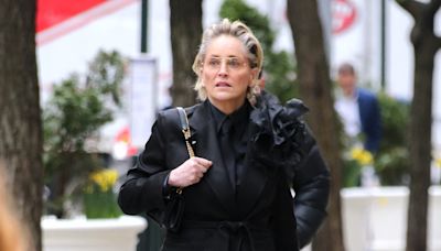 Sharon Stone, demandada por herir a una mujer en un accidente de coche y provocar daños de 35.000 dólares