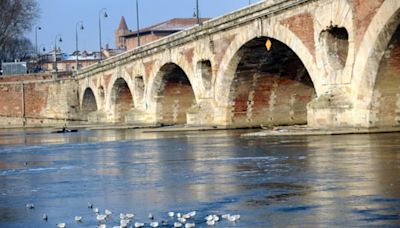 Garonne, Loire, Rhin... Outre la Seine, peut-on se baigner dans les autres grands fleuves français?