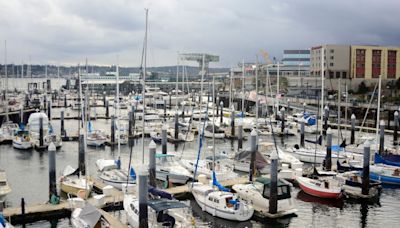 River otter drags child off dock and underwater in rare attack at Washington marina