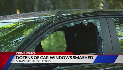 Dozens of car windows smashed in Shaw neighborhood