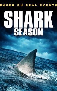 Shark Season