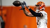 Mike Gesicki's Expectations Being Met by Bengals Offense: 'It's Been Great'