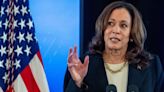 Kamala Harris worried Democrats will replace Joe Biden with white candidate