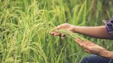 Indian Govt. introduces AgriSURE fund aiding agritech startups & agripreneurs