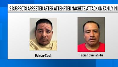 2 suspects arrested after attempted machete attack on family in park