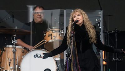 Stevie Nicks says she postponed 2 shows after an infection 'went crazy' and landed her in hospital