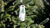 Go west, tree chopper. Here are the best Christmas fir farms in the NC mountains