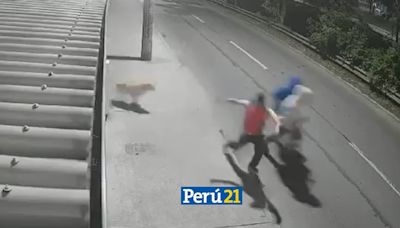 ¡Valiente guardián! Perrito salvó a sus dueños de ser asaltados (VIDEO)