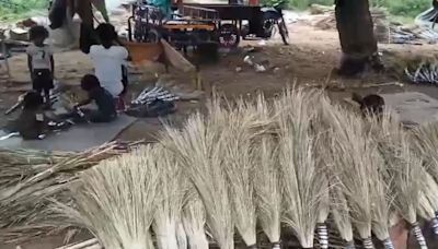 Saving Rs 10 Per Broom, This Rajasthan Family Earns Rs 6 Lakh Annually in UP's Baghpat - News18