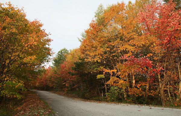 When is the first day of fall? All about the 2024 autumnal equinox