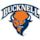 Bucknell Bison