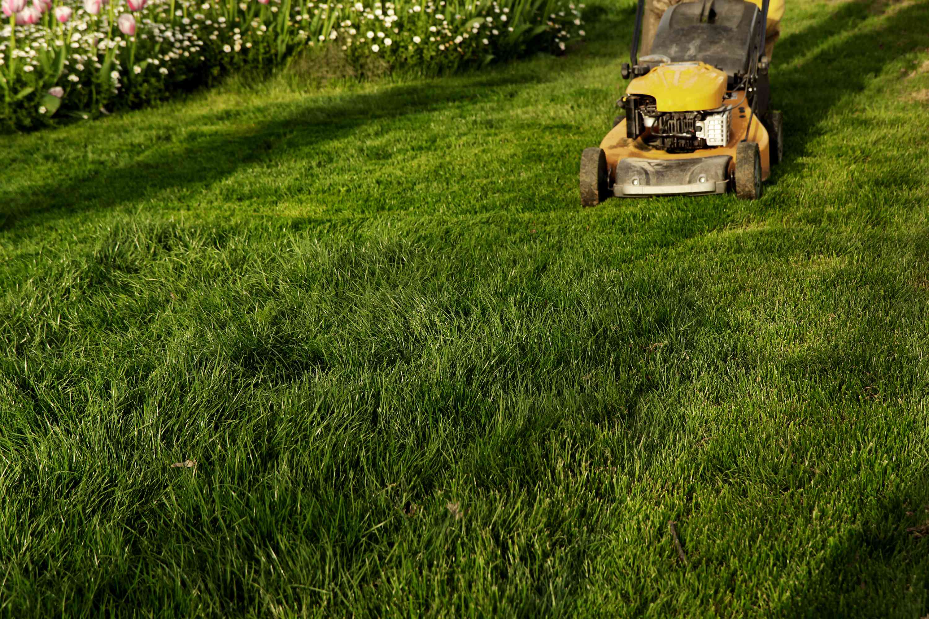 When Is The Best Time Of Day To Mow Your Lawn? An Expert Weighs In