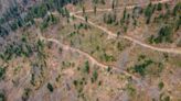 Greenpeace claims Ikea products linked to logging in nature-rich Romanian woods