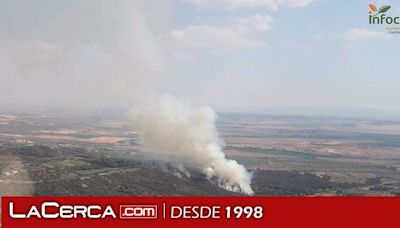 Controlado el incendio forestal declarado en Mesegar de Tajo (Toledo)