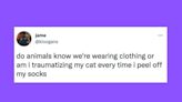 22 Of The Funniest Tweets About Cats And Dogs This Week (Sept. 24-30)