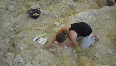 Científicos de la UMA hallan una trampa natural en arenas movedizas con más de un millón de años