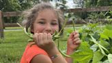 Summer vegetable stand and garden at Boys and Girls Club Franklin Simpson - WNKY News 40 Television