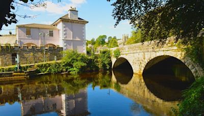 Heroic dog walker hears man's cries for help from deep water in Tavistock