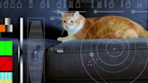 Video of a cat named Taters in deep space is being called a NASA milestone: What to know