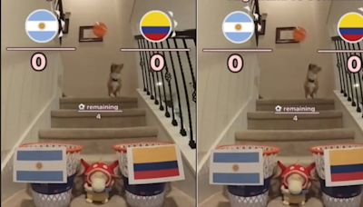 “El perrito de TikTok” dio su predicción sobre la final de la Copa América 2024: ¿Argentina o Colombia? | Por las redes