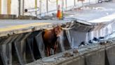 Bull gets loose on tracks at Newark Penn Station, taken into custody