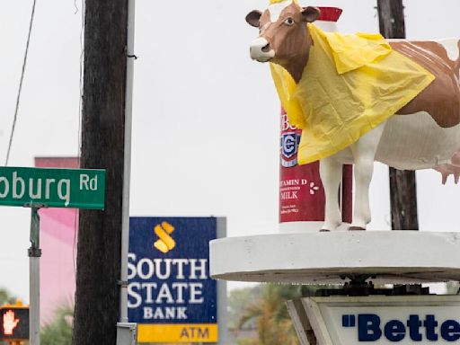 Why is the Coburg Cow Charleston's storm meter? A little history on Bessie.