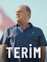 Terim