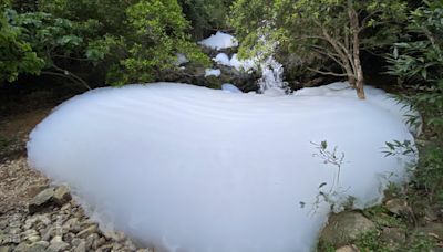 將軍澳溪澗「嘔白泡」 消防處：測試時滅火泡意外流入雨水渠道