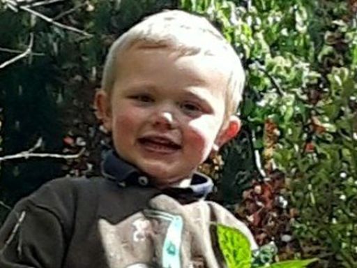 Daniel Twigg: Two people charged over three-year-old's death after dog attack