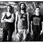 All Them Witches