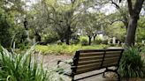 Man spots worn-looking bench to honor "best dog," decides to take action