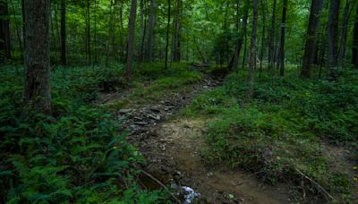 Drought is widespread and intense in the eastern United States: What to know