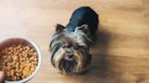 25 of the Best Dog Foods for Itchy Skin