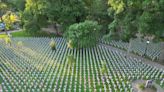 Solemn decoration: 6,000 crosses dot Henderson park for Memorial Day