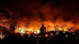 Heatwave wildfires pumped out carbon emissions equal to Estonia’s yearly total