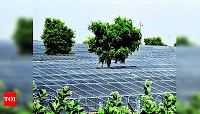 Edu Institutions can Monetise Rooftop Solar During Vacations | Jaipur News - Times of India