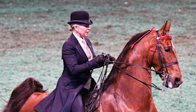 The World's Championship Horse Show at Kentucky State Fair brings top riders to Louisville