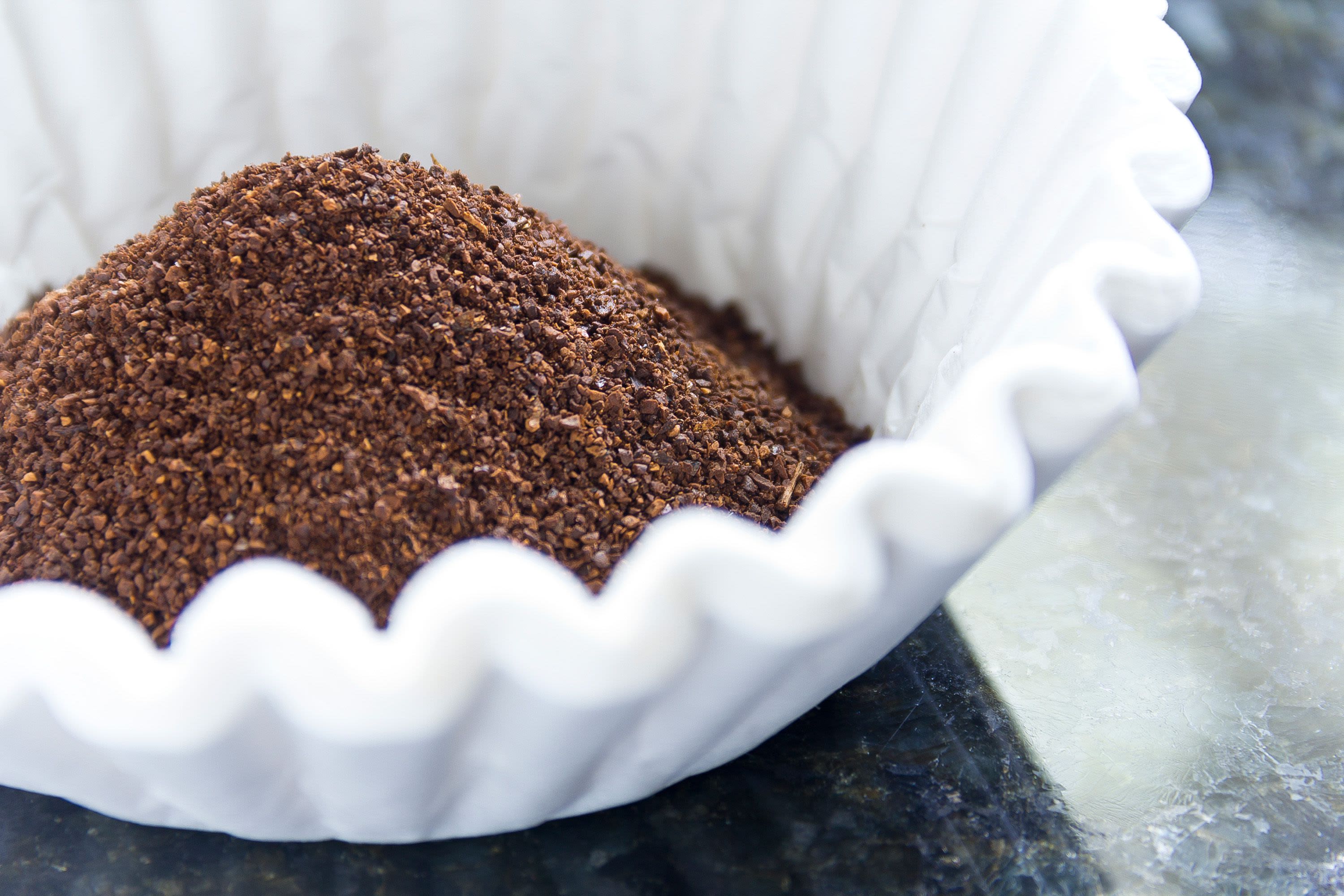 Experts Share Whether Coffee Grounds Actually Repel Ants