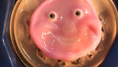 Researchers craft smiling robot face from living human skin cells