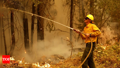 California Park wildfire destroys more than 3.5 lakh acres, becomes largest in US - Times of India